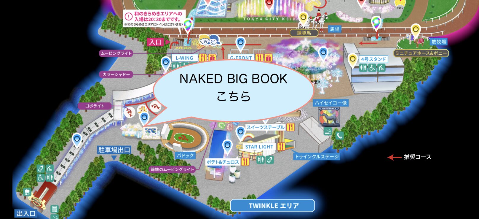 NAKED BIG BOOK